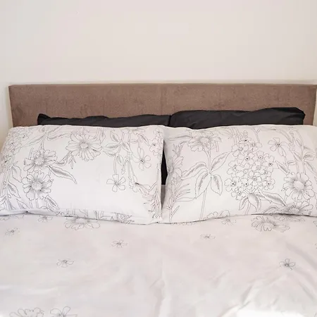 Apartment Todor Kraljevo